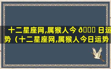 十二星座网,属猴人今 🐅 日运势（十二星座网,属猴人今日运势水墨）